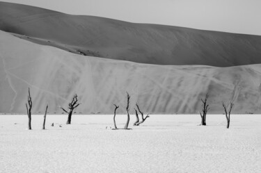 Fotografie getiteld "Namib Desert-0668-SW" door Uwe Bauch, Origineel Kunstwerk, Digitale fotografie