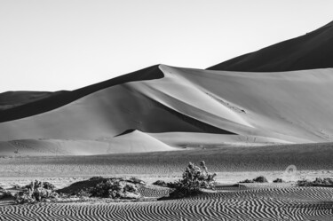 Fotografia intitulada "Namib Desert-0528-SW" por Uwe Bauch, Obras de arte originais, Fotografia digital