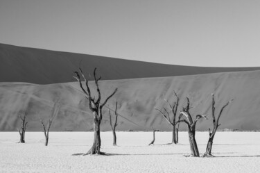 「Namib Desert-0669-SW」というタイトルの写真撮影 Uwe Bauchによって, オリジナルのアートワーク, デジタル