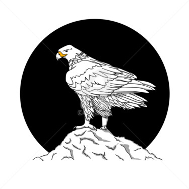 Digital Arts titled "White Eagle" by V Karaba, Original Artwork, 2D Digital Work