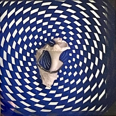 Collages intitulée "Espiral aurea -5" par Erika De La Vega, Œuvre d'art originale, Collages