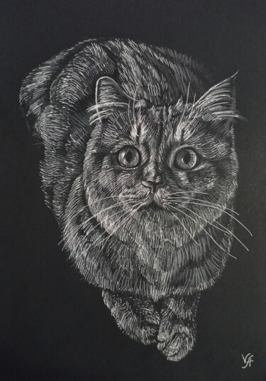 「CUTE CAT - small dr…」というタイトルの描画 Alona Vakhmistrovaによって, オリジナルのアートワーク, 鉛筆