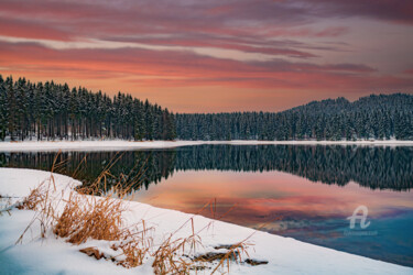Photographie intitulée "Forest lake" par Val Thoermer, Œuvre d'art originale, Photographie numérique