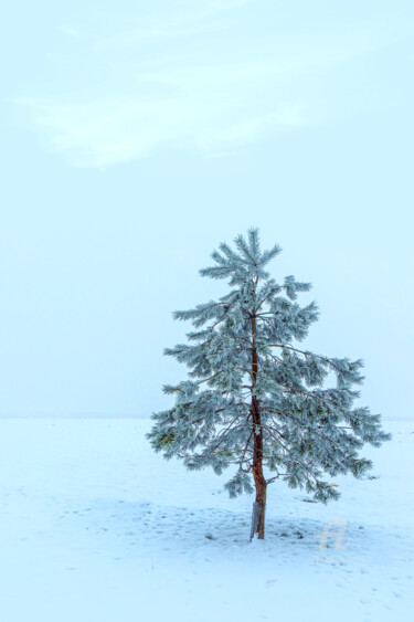 Photography titled "Wintry landscape" by Val Thoermer, Original Artwork, Digital Photography