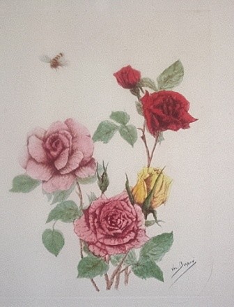 Gravures & estampes intitulée "ROSES ANCIENNES 3" par Valentine Dupré, Œuvre d'art originale, Gravure