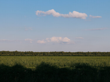 Photographie intitulée "Field" par Valeria Nikitina, Œuvre d'art originale, Photographie numérique