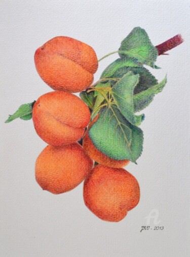 Drawing titled "Les abricots - Styl…" by Valérie Jouffroy Ricotta, Original Artwork, Ballpoint pen