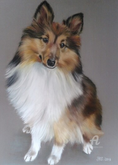 Peinture intitulée "Lassie berger des S…" par Valérie Jouffroy Ricotta, Œuvre d'art originale, Pastel