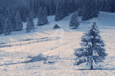 Fotografie mit dem Titel "First winter mornin…" von Valerix, Original-Kunstwerk, Digitale Fotografie