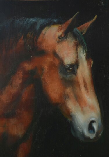 Painting titled "Horse head" by Valery Marche, Original Artwork, Oil