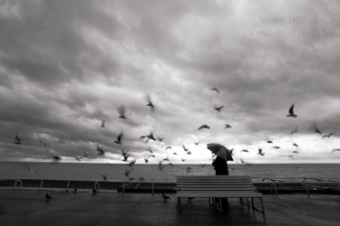 Photography titled "les-mouettes-nice.j…" by Valery Trillaud, Original Artwork