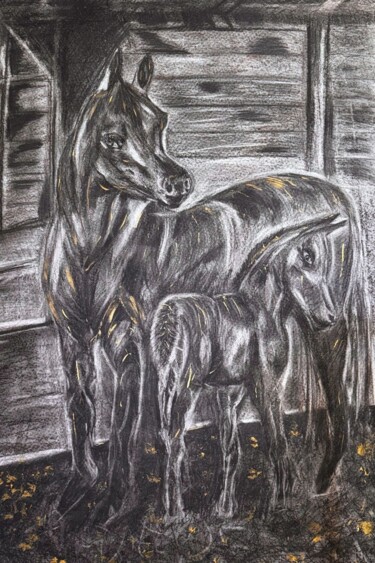 Drawing titled "Refugio en la Natur…" by Van D.C. Lopez, Original Artwork, Charcoal