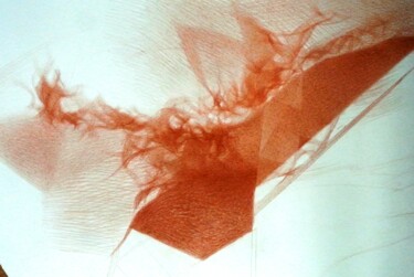 Рисунок под названием "Bat. Flying fox." - Vasyl Pal, Подлинное произведение искусства, Карандаш