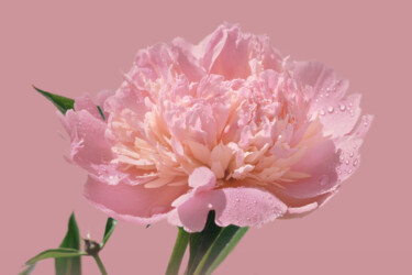 Photographie intitulée "Flowerissimo_18228" par Michael Vdovin, Œuvre d'art originale, Photographie numérique