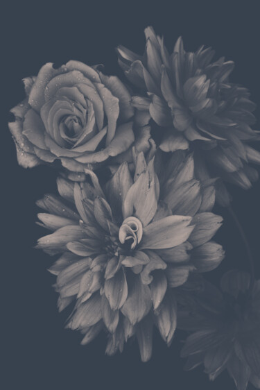 Photography titled "Flowerissimo_15941" by Michael Vdovin, Original Artwork, Digital Photography
