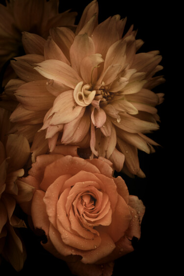 Photography titled "Flowerissimo_15928" by Michael Vdovin, Original Artwork, Digital Photography