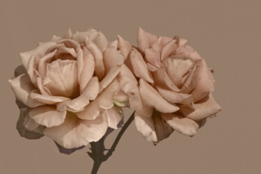 Photography titled "Flowerissimo_13849" by Michael Vdovin, Original Artwork, Digital Photography