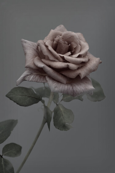 Photography titled "Flowerissimo_11728" by Michael Vdovin, Original Artwork, Digital Photography