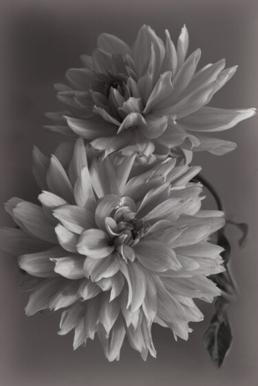 Photography titled "Flowerissimo_15478" by Michael Vdovin, Original Artwork, Digital Photography