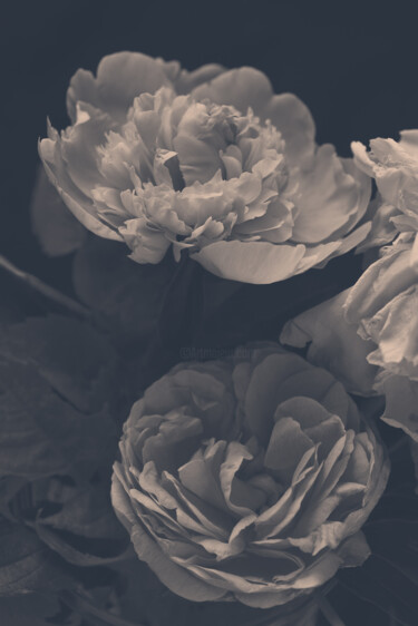 Fotografie mit dem Titel "Flowerissimo_16226" von Michael Vdovin, Original-Kunstwerk, Digitale Fotografie