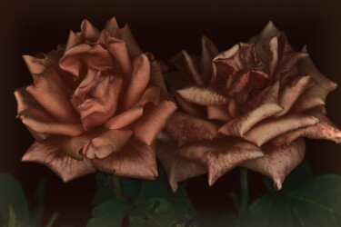 「Flowerissimo_17627」というタイトルの写真撮影 Michael Vdovinによって, オリジナルのアートワーク, デジタル