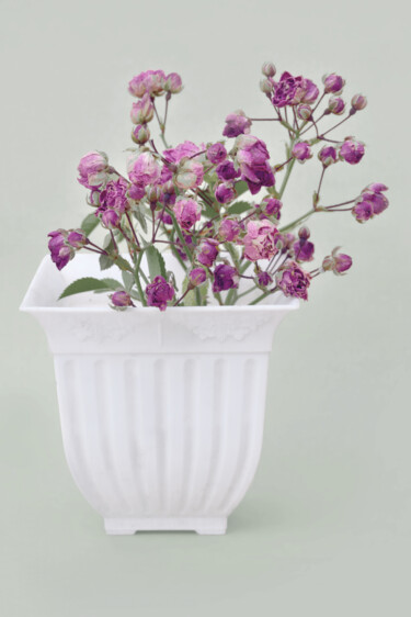 Фотография под названием "Flowerissimo_12326" - Michael Vdovin, Подлинное произведение искусства, Цифровая фотография