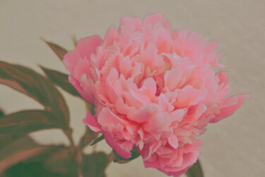 「Flowerissimo_16940」というタイトルの写真撮影 Michael Vdovinによって, オリジナルのアートワーク, デジタル