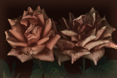 「Flowerissimo_17628」というタイトルの写真撮影 Michael Vdovinによって, オリジナルのアートワーク, デジタル