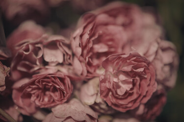 「Flowerissimo_13593」というタイトルの写真撮影 Michael Vdovinによって, オリジナルのアートワーク, デジタル