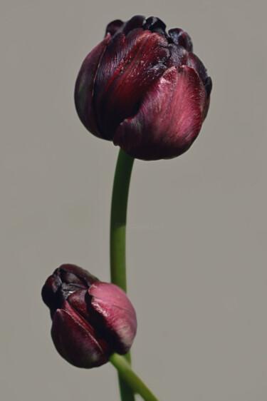 Fotografía titulada "Flowerissimo_17542" por Michael Vdovin, Obra de arte original, Fotografía digital