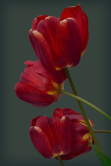 Fotografie mit dem Titel "Flowerissimo_18192" von Michael Vdovin, Original-Kunstwerk, Digitale Fotografie