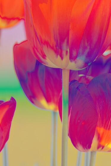 제목이 "Flowerissimo_17864"인 사진 Michael Vdovin로, 원작, 디지털