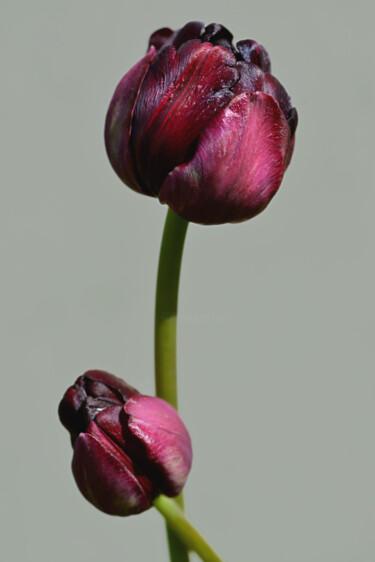 Fotografie mit dem Titel "Flowerissimo_17543" von Michael Vdovin, Original-Kunstwerk, Digitale Fotografie