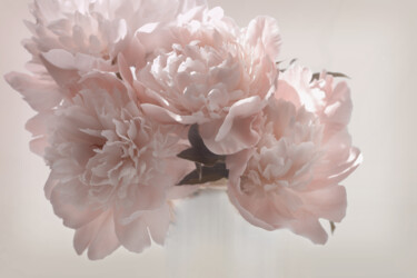 Φωτογραφία με τίτλο "Flowerissimo_17045" από Michael Vdovin, Αυθεντικά έργα τέχνης, Ψηφιακή φωτογραφία