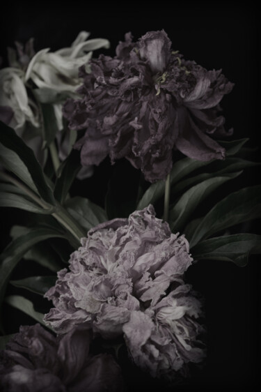 Fotografía titulada "Flowerissimo_17432" por Michael Vdovin, Obra de arte original, Fotografía digital