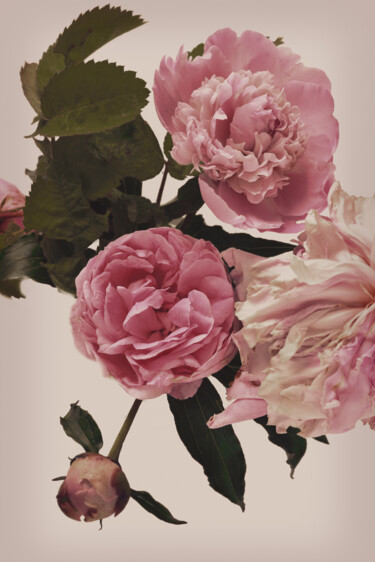 Fotografía titulada "Flowerissimo_16205" por Michael Vdovin, Obra de arte original, Fotografía digital