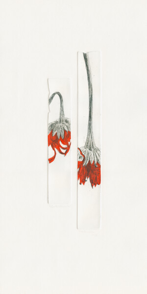 Printmaking titled "Decay IV - Two Red…" by Vera Almeida, Original Artwork, Etching