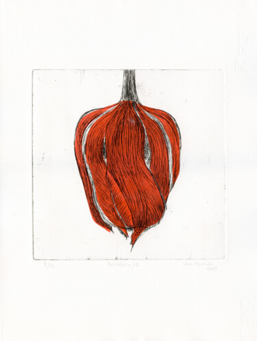 Prenten & gravures getiteld "Decay VII, Tulip Bud" door Vera Almeida, Origineel Kunstwerk, Ets