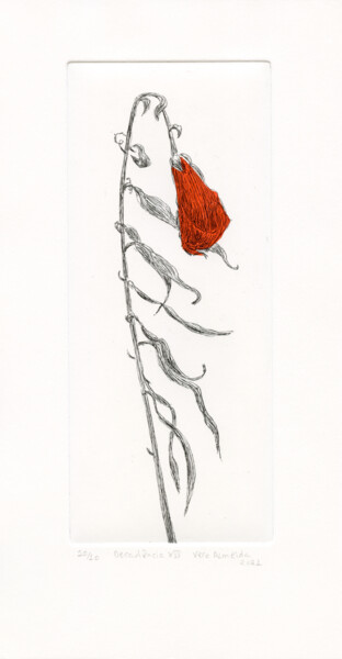 Prenten & gravures getiteld "Decay XIV, Red Flow…" door Vera Almeida, Origineel Kunstwerk, Ets