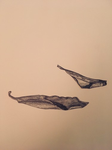 Drawing titled "Feuilles. Planche 2…" by Victoria, Original Artwork, Pencil