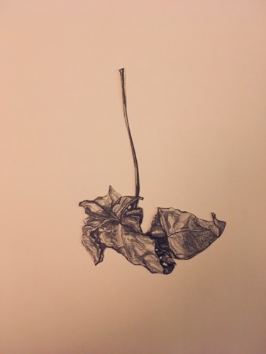 Drawing titled "Feuilles. Planche 3…" by Victoria, Original Artwork, Pencil