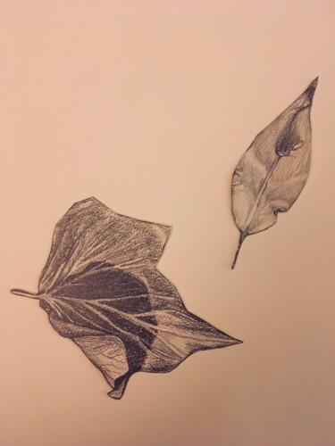 Drawing titled "Feuilles. Planche 5…" by Victoria, Original Artwork, Pencil