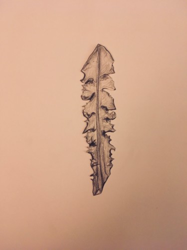 Drawing titled "Feuilles. Planche 6…" by Victoria, Original Artwork, Pencil