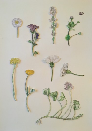 Malarstwo zatytułowany „Herbier. Fleurs sau…” autorstwa Victoria, Oryginalna praca, Akwarela