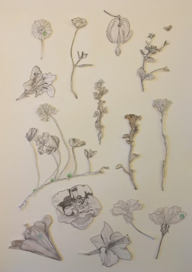 Drawing titled "Herbier. Fleurs." by Victoria, Original Artwork, Pencil