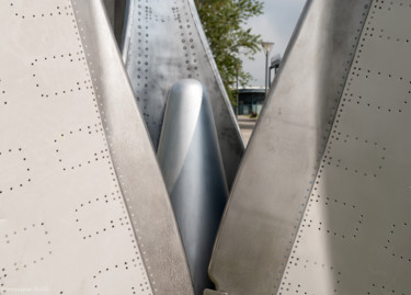 Sculpture intitulée "L'ÉCLOSION... Détai…" par Véronique Brill, Œuvre d'art originale, Métaux