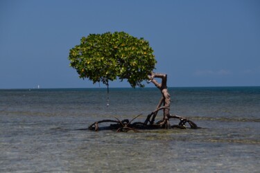 Photography titled "The Barefoot Fisher…" by Victoria B. Lohay, Original Artwork, Non Manipulated Photography