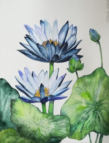 Schilderij getiteld "Lotus bleu" door Victoria Girerd, Origineel Kunstwerk, Aquarel