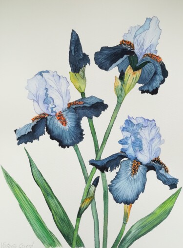 Pittura intitolato "Iris" da Victoria Girerd, Opera d'arte originale, Acquarello