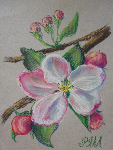 Schilderij getiteld "Apple Blossom # 2" door Victoria Shevchenko, Origineel Kunstwerk, Pastel